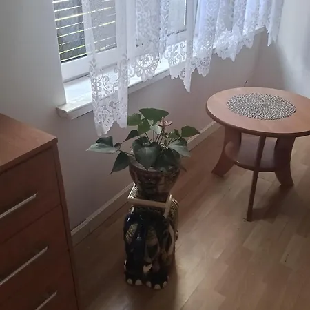 Проживание в семье Krzys *