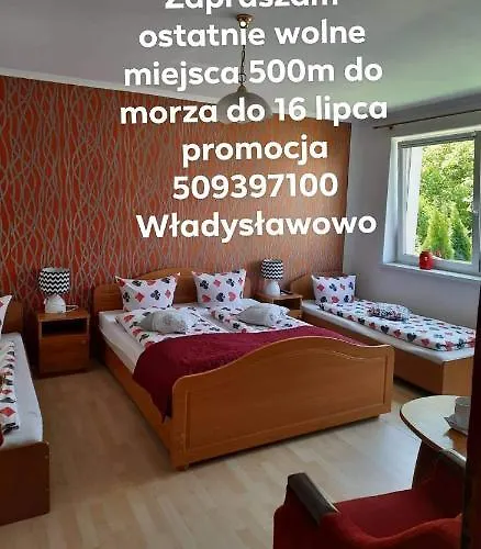 Krzys * Władysławowo