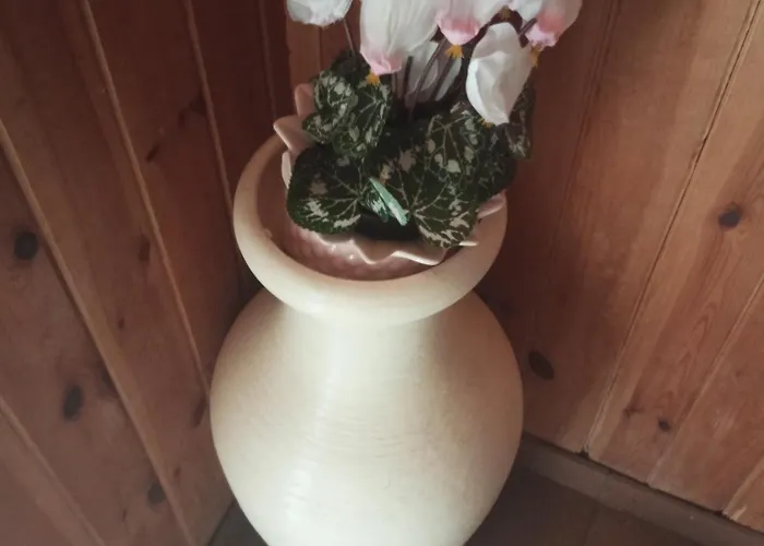 Krzys * Władysławowo