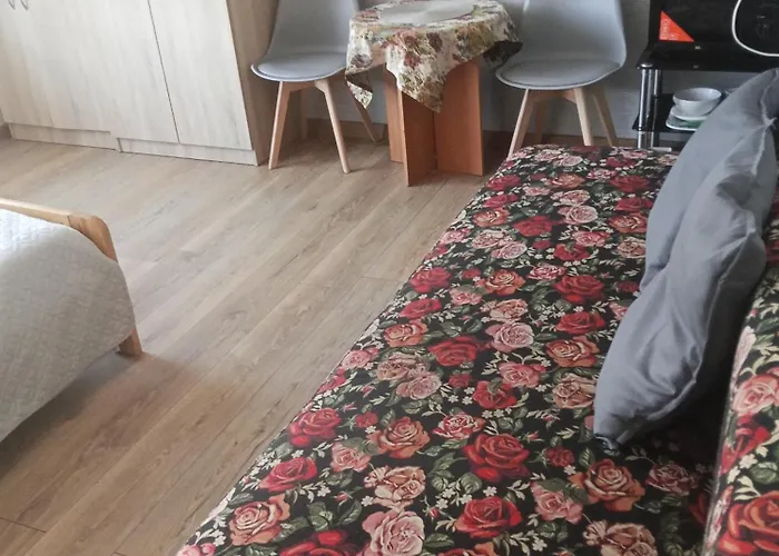 Krzys Pansiyon Władysławowo